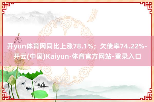 开yun体育网同比上涨78.1%；欠债率74.22%-开云(中国)Kaiyun·体育官方网站-登录入口