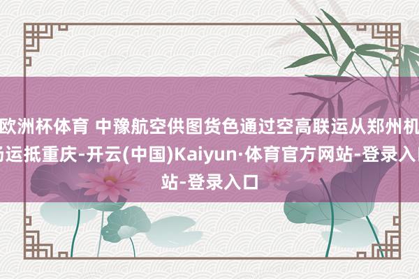 欧洲杯体育 中豫航空供图货色通过空高联运从郑州机场运抵重庆-开云(中国)Kaiyun·体育官方网站-登录入口