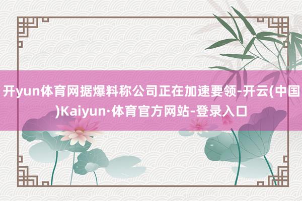 开yun体育网据爆料称公司正在加速要领-开云(中国)Kaiyun·体育官方网站-登录入口
