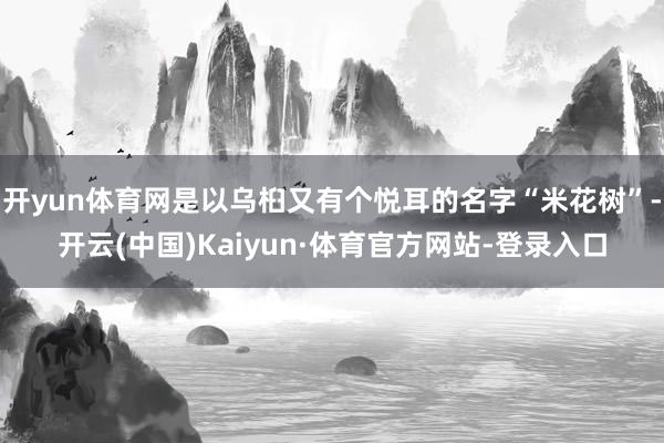 开yun体育网是以乌桕又有个悦耳的名字“米花树”-开云(中国)Kaiyun·体育官方网站-登录入口