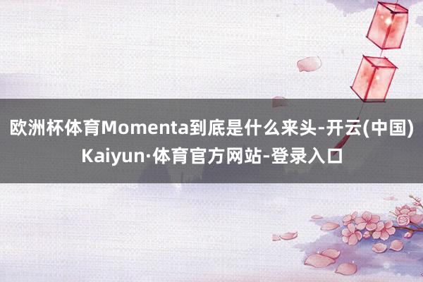 欧洲杯体育Momenta到底是什么来头-开云(中国)Kaiyun·体育官方网站-登录入口